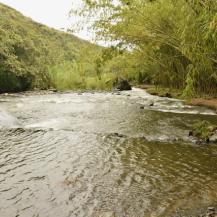 CVC NO PERMITIRÁ NINGÚN DAÑO AMBIENTAL EN PANCE