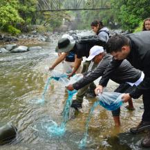 20 MIL ALEVINOS SE SEMBRARON EN EL RÍO CALI