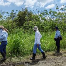 INSPECCIONAN FRANJAS FORESTALES PROTECTORAS DEL RÍO CAUCA