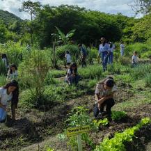 HUERTA ESCOLAR DE COLEGIO PÚBLICO EN EL DOVIO FLORECE COMO UN LABORATORIO AGROECOLÓGICO
