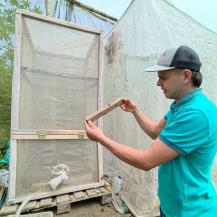 MOSCA SOLDADO NEGRA: LA ALIADA DEL RECICLAJE ORGÁNICO EN EL NORTE DEL VALLE