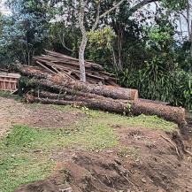 CVC DETUVO CONSTRUCCIÓN SIN PERMISO EN DAPA, YUMBO