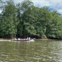 MANGLARES DEL PACÍFICO VALLECAUCANO: CULTURA, COMUNIDAD Y CONSERVACIÓN TERRITORIAL