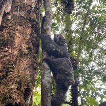 PEREZOSO FUE HALLADO DENTRO DE BOLSA DE BASURA Y VOLVIO A LA LIBERTAD