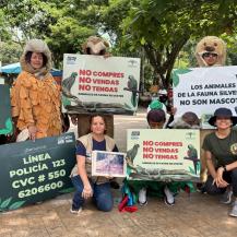 “¡ALTO, FAUNA EN LA VÍA!”: LA CVC INVITA A PROTEGER LA VIDA SILVESTRE EN CARTAGO Y EL NORTE DEL VALLE