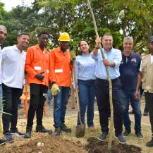 NI EL CEMENTO NI LOS TOCONES IMPEDIRÁN SEMBRAR MÁS DE 8 MIL NUEVOS ÁRBOLES EN CALI