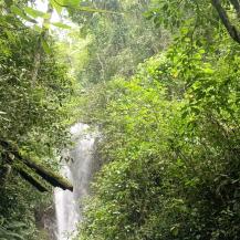 EL CANTO DE LAS AVES DESPIERTA LA CONCIENCIA DE NIÑOS Y JÓVENES EXPLORADORES EN BUGA