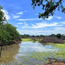 INICIARON LABORES DE LIMPIEZA EN EL HUMEDAL PLATANARES
