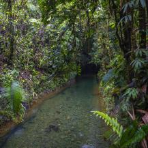 ¡POR PRIMERA VEZ EN TV! EL DOCUMENTAL QUE MUESTRA 70 JOYAS DE NUESTRA BIODIVERSIDAD