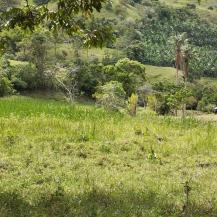 COMUNIDAD DE EL CAIRO CONFIRMA LA PUREZA DE SUS AGUAS