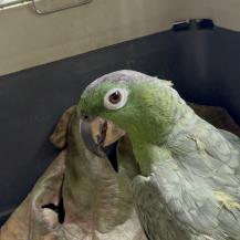 “¿QUIERE CACAO?”: LA HISTORIA REAL DETRÁS DE UNA FRASE NADA INOCENTE