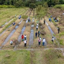 ¿LE GUSTAN LOS BOSQUES? PONGA EL TERRENO Y LA CVC LE ENTREGA LOS ÁRBOLES