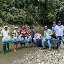 CVC Y COMUNIDAD SIEMBRAN 5.000 ALEVINOS DE BOCACHICO EN EL RÍO LA VIEJA