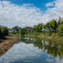 CVC HIZO LIMPIEZA MANUAL Y MECÁNICA A TRES HUMEDALES DE BOCAS DEL PALO