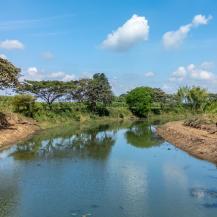 LA CVC INVIRTIÓ $1.700 MILLONES EN LA RECUPERACIÓN Y MANTENIMIENTO DE 23 HUMEDALES 