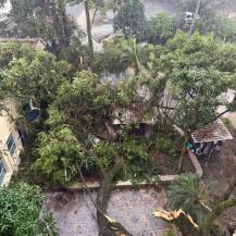 LLUVIAS EN CALI SUPERARON ESTÁNDARES INTERNACIONALES
