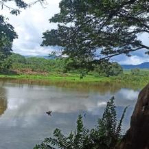LA MADREVIEJA LA MARINA SE CONVIERTE EN EPICENTRO DE CONSERVACIÓN Y VIDA, EN EL MES DE LOS HUMEDALES