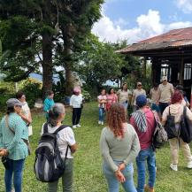 EN SEVILLA, JÓVENES FORTALECEN PROCESOS DE CONSERVACIÓN DE LA RANA RUBÍ