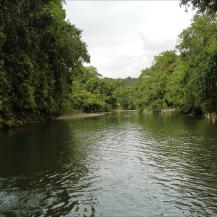 ¿QUÉ ESTÁ PASANDO CON EL CLIMA?