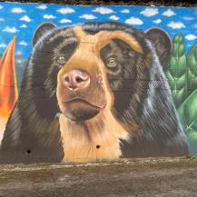 EL ÁGUILA VIVIÓ EL PRIMER FESTIVAL DEL OSO ANDINO