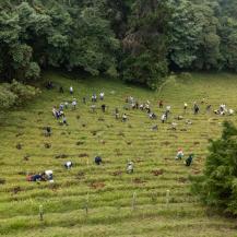 VALLE DEL CAUCA, PIONERO EN COLOMBIA EN LA IMPLEMENTACIÓN DE LA LEY DE ÁREAS DE VIDA