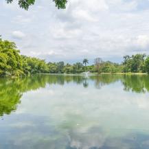 HUMEDAL BOSQUELAGO RECUPERA SU BIODIVERSIDAD, TRAS PROCESO DE RESTAURACIÓN AMBIENTAL