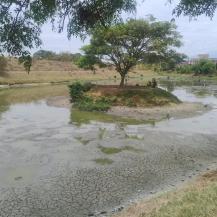LAGUNAS DE MANZANARES, EN CANDELARIA, REGULAN AGUAS LLUVIAS Y NO SON HUMEDALES: CVC HACE LLAMADO A NO INTERVENIRLAS