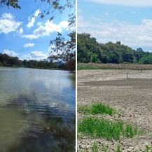 HUMEDALES GUARE, LA HERRADURA Y SANTA ANA PRESENTAN BAJOS NIVELES DE AGUA