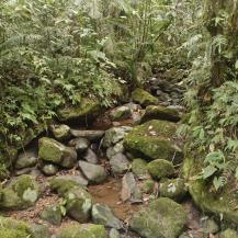 CVC HACE UN LLAMADO A CUIDAR EL AGUA Y A LA PREVENCIÓN DE INCENDIOS FORESTALES