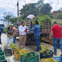 8.000 FAMILIAS DEL VALLE DEL CAUCA SE HAN BENEFICIADO DE “POR UN CAMPO MÁS SOSTENIBLE”