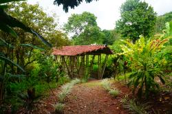 Parque de las Heliconias