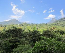 CÓMO CONVENCIERON A 37 PROPIETARIOS PARA DEDICAR 1.800 HECTÁREAS A LA CONSERVACIÓN