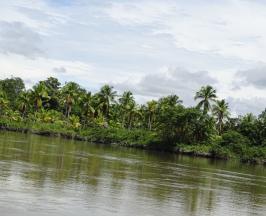 ISLA AJÍ, EN BUENAVENTURA, AHORA ES UN ÁREA PROTEGIDA