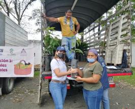 100 FAMILIAS DE ZONA RURAL DE PALMIRA RECIBIERON INSUMOS PARA EL CAMPO 