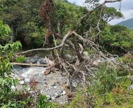 Crecientes súbitas con empalizadas y derrumbes con taponamiento de vías, son algunas de las afectaciones presentadas por las fuertes lluvias en el corregimiento La feria, en Pradera.