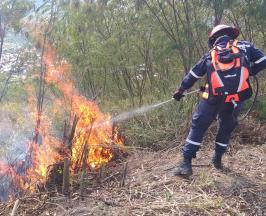 Motobombas portátiles de alta presión, palas forestales, batefuegos, mangueras de succión, entre otros, hacen parte de los elementos entregados al Cuerpo de Bomberos Voluntarios de Yumbo para contribuir en su gestión de combatir incendios forestales. Con anterioridad ya se habían fortalecido 44 Cuerpos de Bomberos Voluntarios en 41 municipios del Valle del Cauca.