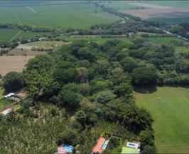 ECOSISTEMA DE BOSQUE SECO TROPICAL SE PROTEGE EN PALMIRA 