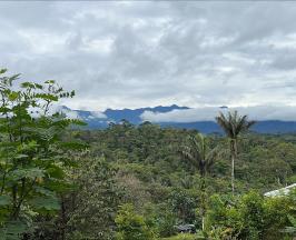 SENDERO VENADO VERDE: DONDE SE PASÓ DE LA TALA DE ÁRBOLES AL TURISMO DE NATURALEZA