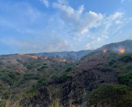 INCENDIO FORESTAL EN ROLDANILLO CONSUME MÁS DE 850 HECTÁREAS DE BOSQUE SECO 