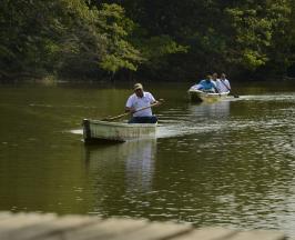 EL VALLE DEL CAUCA, UN PARAÍSO PROTEGIDO 