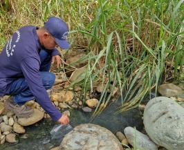 VERTIMIENTO FINAL DE LA PTAR DE ASOVORÁGINE CUMPLE CON LOS LÍMITES ESTABLECIDOS EN NORMATIVIDAD AMBIENTAL  