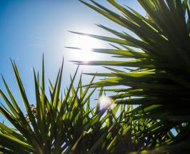 EN EL VALLE DEL CAUCA SE REGISTRÓ LA TEMPERATURA MÁS ALTA DE SU HISTORIA