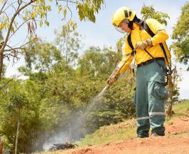 CVC CONTRIBUYE EN LA FINANCIACIÓN DE LOS BOMBEROS DEL VALLE DEL CAUCA