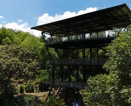 EL TURISMO DE NATURALEZA SE FORTALECE EN EL VALLE CON EL NUEVO CENTRO DE EDUCACIÓN AMBIENTAL LAS HELICONIAS