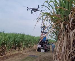 INGENIOS AZUCAREROS USARÁN DRONES PARA MEJORAR LA PRECISIÓN EN LA ASPERSIÓN DE MADURANTES SOBRE CULTIVOS DE CAÑA