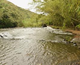 CVC NO PERMITIRÁ NINGÚN DAÑO AMBIENTAL EN PANCE