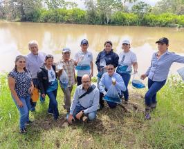 CVC REALIZÓ SIEMBRA DE 3.000 ALEVINOS DE BOCACHICO EN HUMEDALES DE BOLÍVAR, VALLE