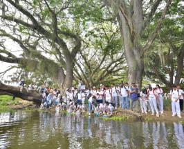 EL HUMEDAL VIDELES DE GUACARÍ CELEBRA EL MES DE LOS HUMEDALES CON SU NUEVO CIRCUITO ECOTURÍSTICO