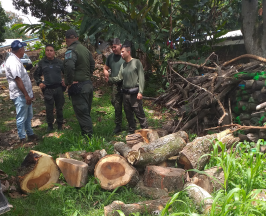 CVC, POLICÍA Y EJÉRCITO REFUERZAN CONTROL CONTRA EL TRÁFICO DE MADERA Y CARBÓN EN TULUÁ