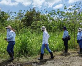 INSPECCIONAN FRANJAS FORESTALES PROTECTORAS DEL RÍO CAUCA